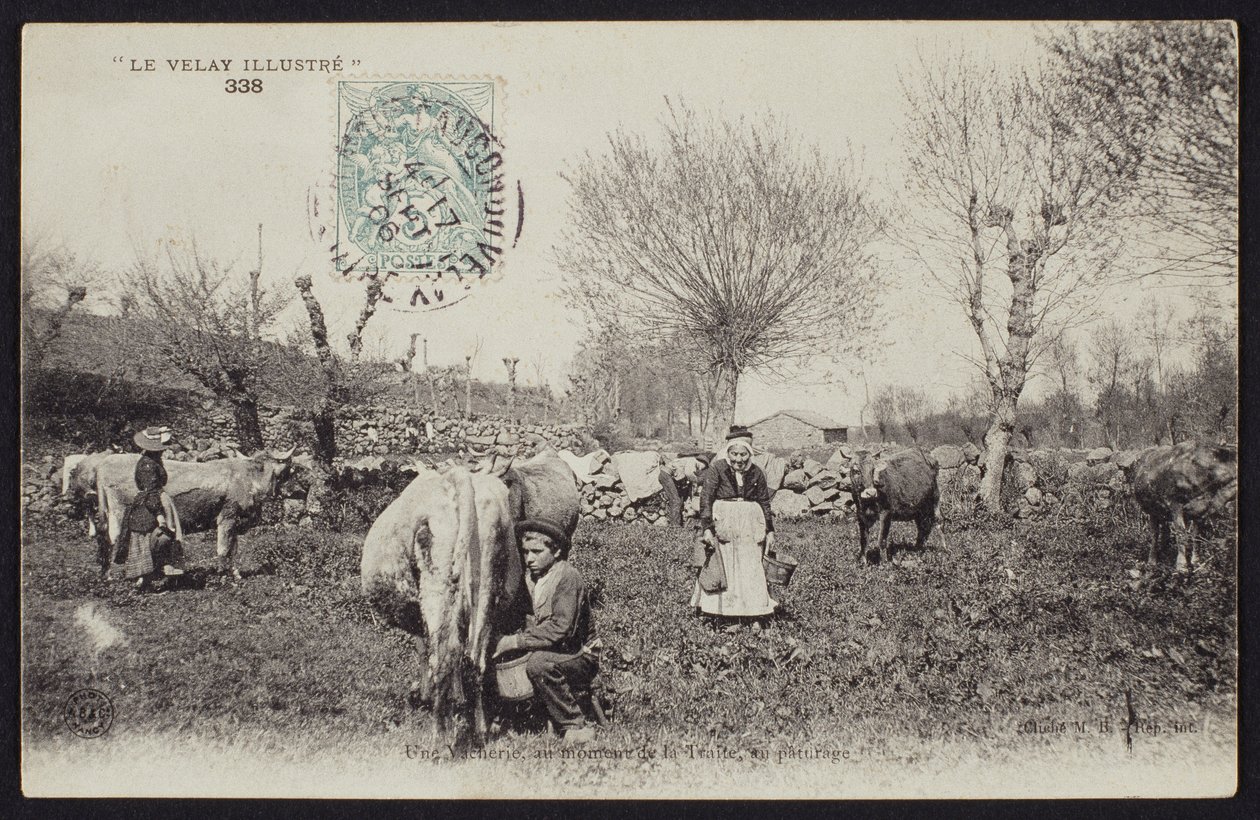 Postikortti, joka kuvaa lypsyaikaa Velayssa, n. 1900 tekijältä French Photographer