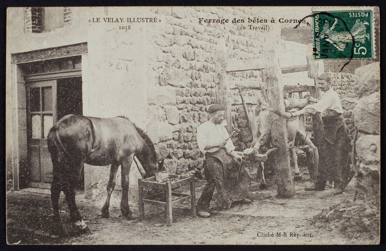 Postikortti, joka kuvaa hevosen kenkimistä Cornesissa, Le Velayssa, n. 1900 tekijältä French Photographer