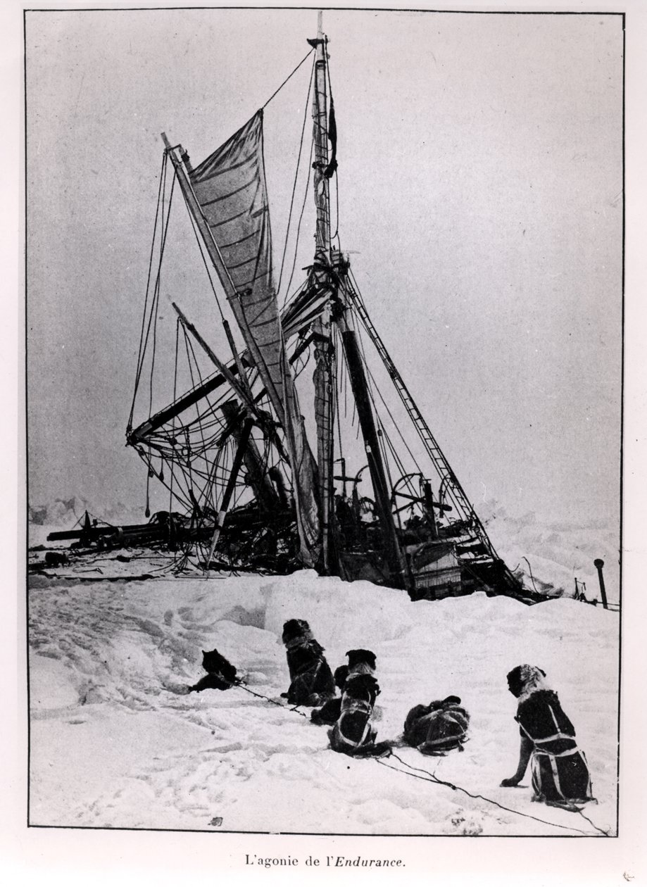 Ernest Shackletonin (1874-1922) The Agony of The Endurance tutkimusmatkasta etelänavalle 1914-1917 tekijältä French Photographer