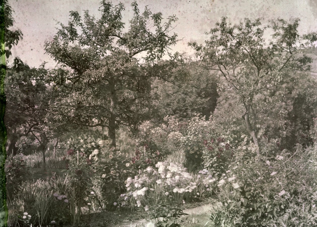 Näkymä Givernyyn, Monet