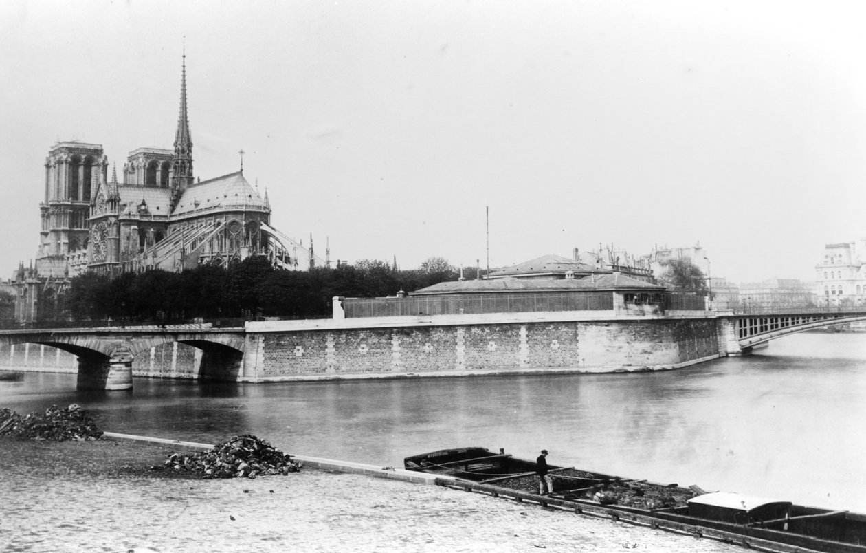Näkymä Pariisin Notre-Damen katedraalille, Quai de la Tournellelle ja Seine-joelle, n. 1900 tekijältä French Photographer