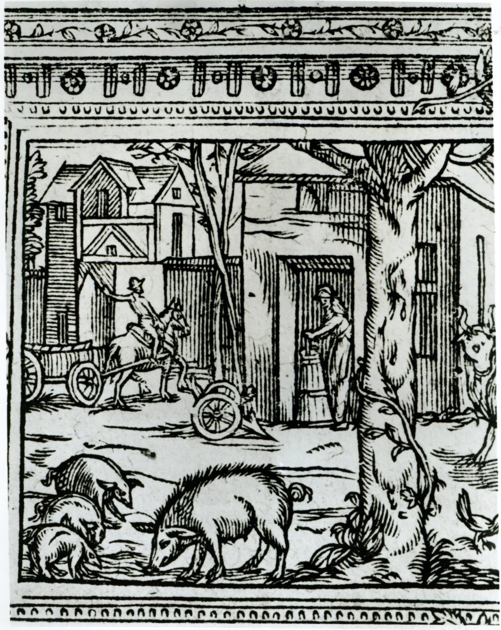 Maatila, kuvitus Olivier de Serresin (1539-1619) teoksesta "Theatre d