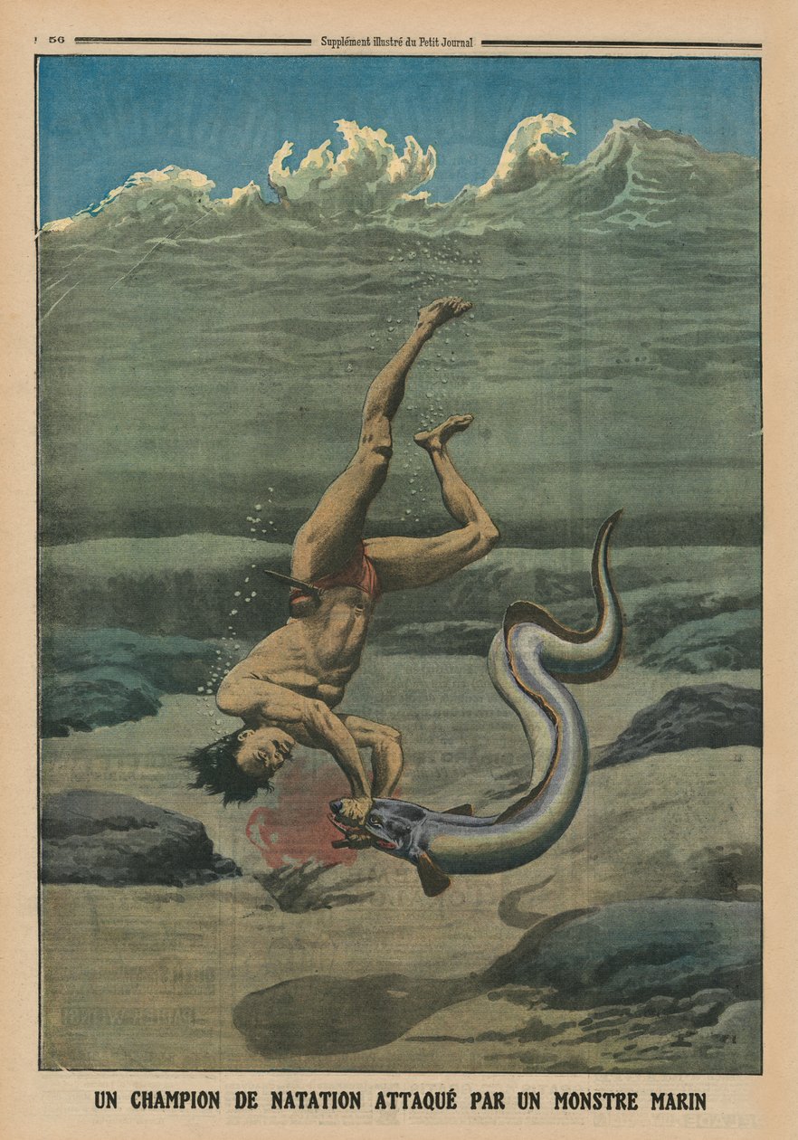 Merihirviön kimppuun uimamestari, takakannen kuva Le Petit Journalista, liitekuva, 16. helmikuuta 1913 tekijältä French School