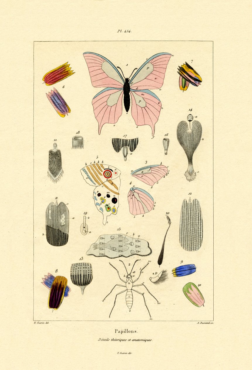 Perhoset, 1833-39 tekijältä French School