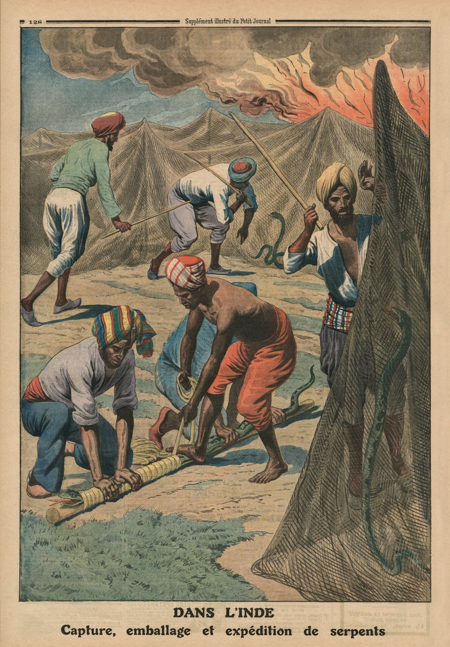 Käärmeiden pyydystäminen, pakkaaminen ja lähettäminen, Intia, takakannen kuvitus Le Petit Journalista, liitekuva, 20. huhtikuuta 1913 tekijältä French School