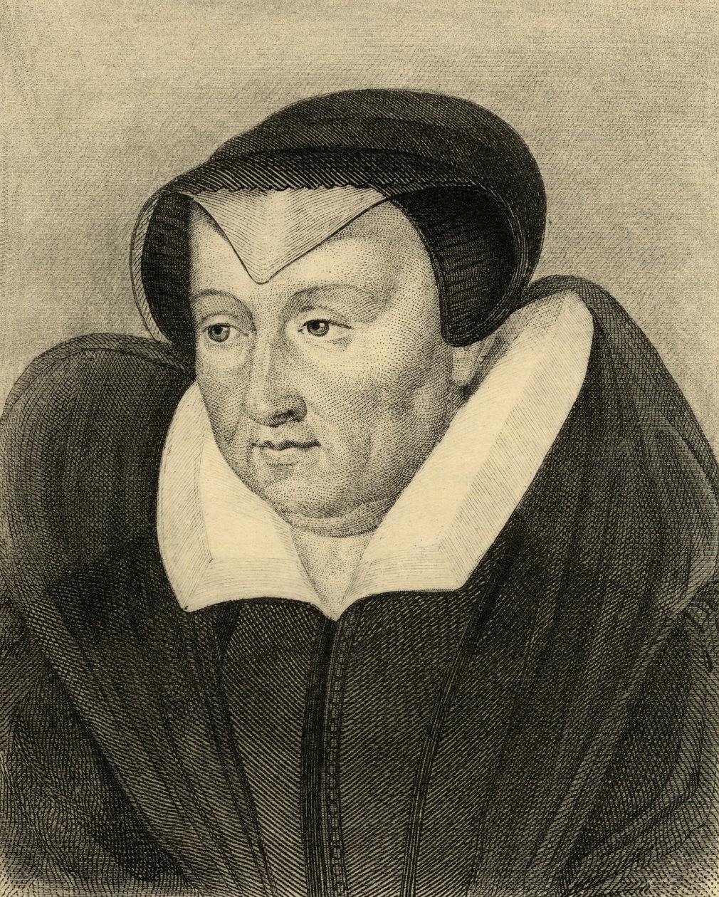 Catherine de Medici (1519-89) tekijältä French School