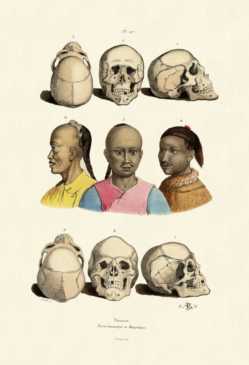 valkoihoiset, 1833-39 tekijältä French School