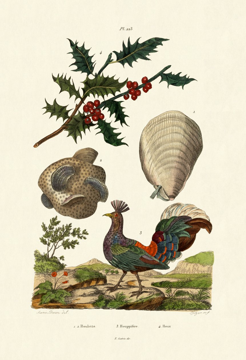 European Holly, 1833-39 tekijältä French School