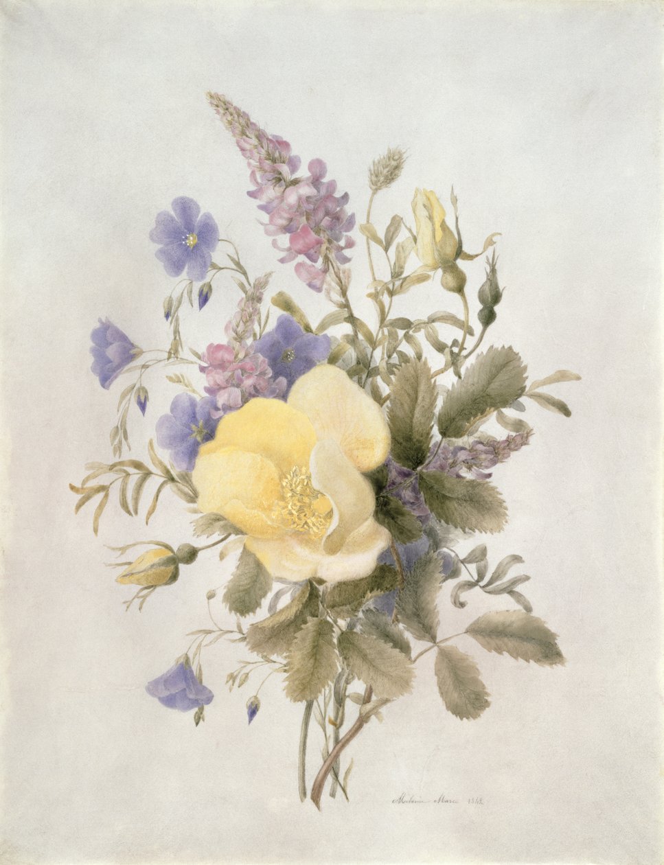 Kukat keltaisella ruusulla, 1840 (wc paperilla) tekijältä French School