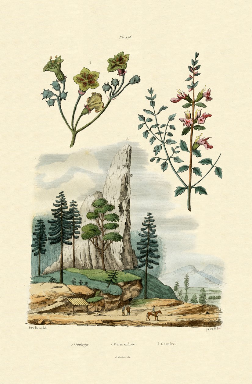 Geologia, 1833-39 tekijältä French School