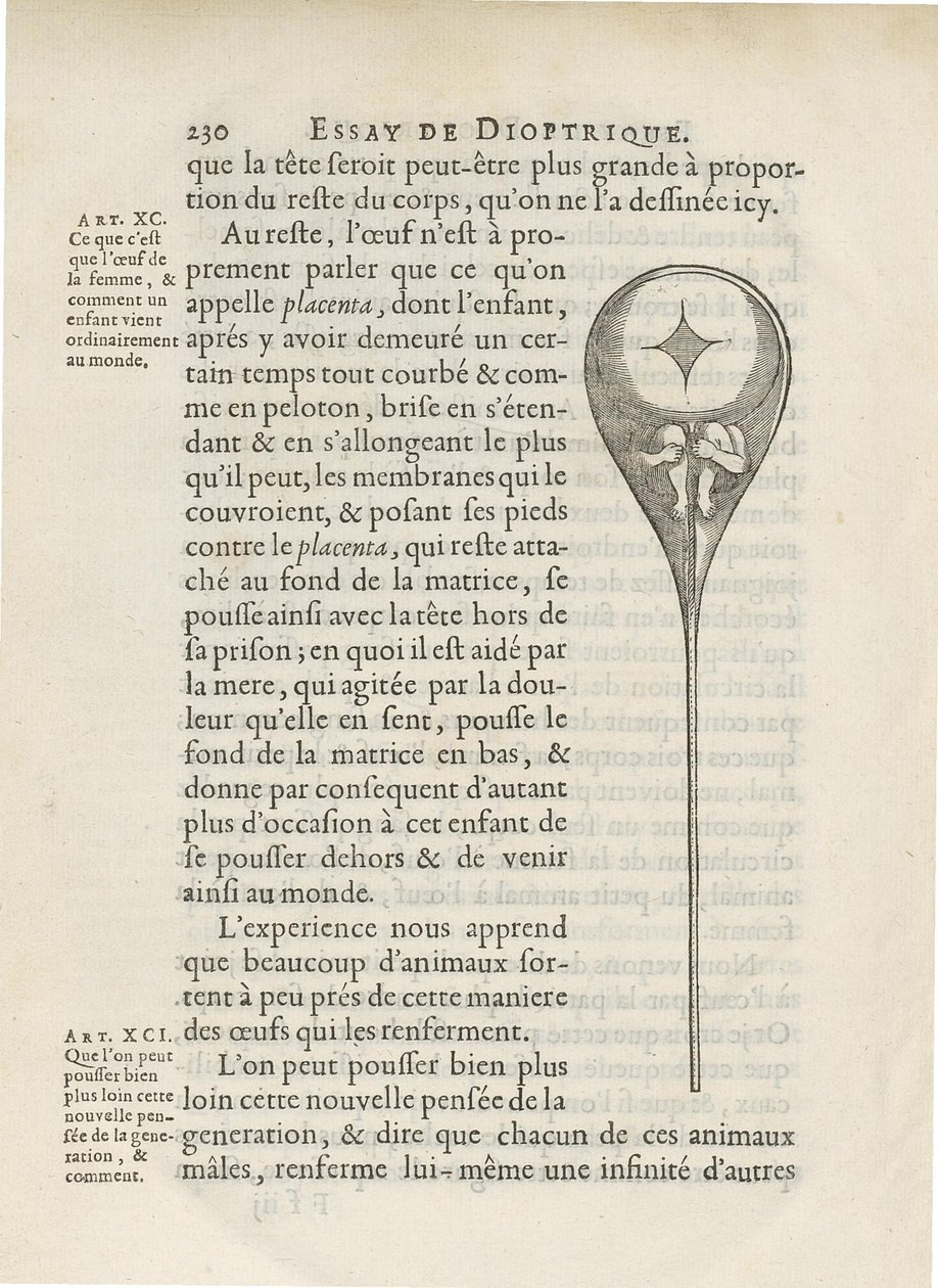 Ihmisen siittiöiden sisällä kuvattu Homunculus, Niklass Hartsoekerin Essay de Dioptrique, 1694 tekijältä French School