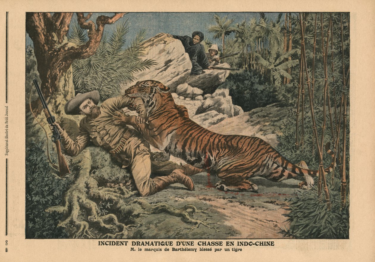 Tigerin haavoittama Barthelemyn markiisi, kuvitus "Le Petit Journalista", liitekuva, 17. helmikuuta 1907 tekijältä French School