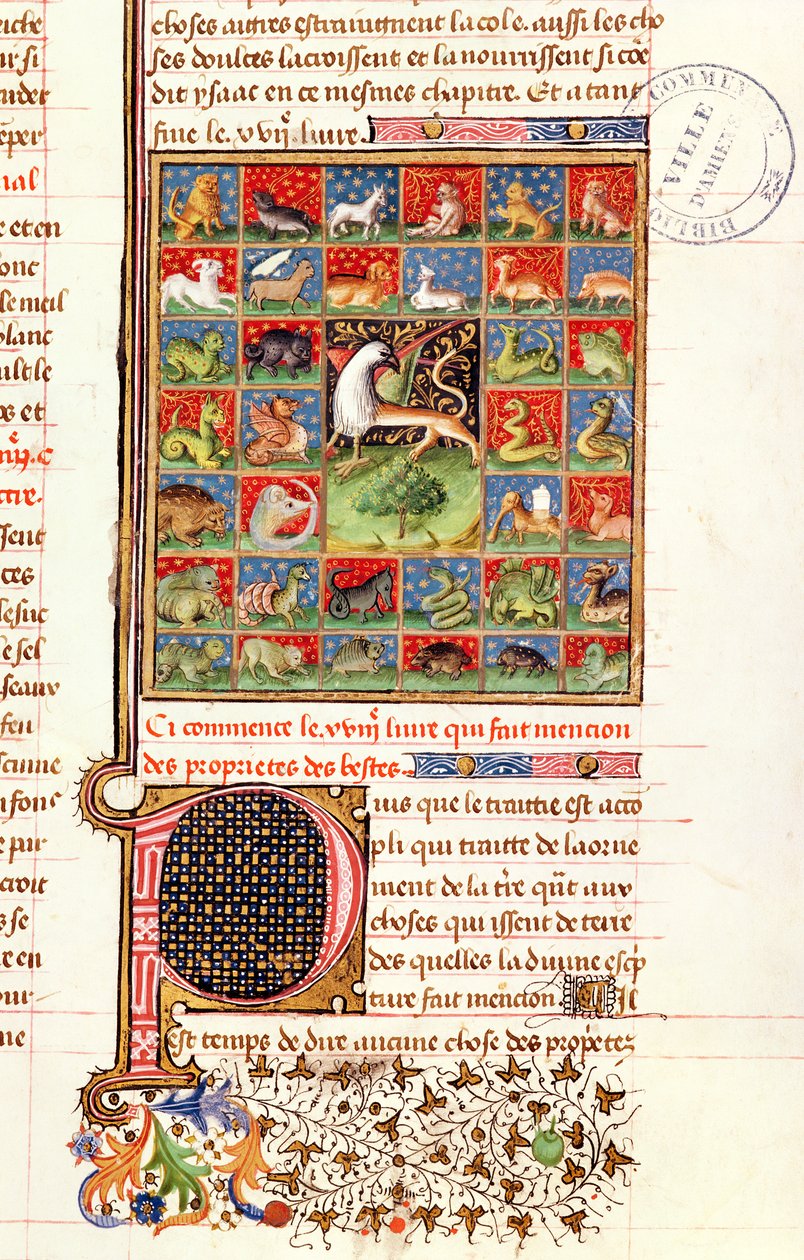 Ms 399 fol.241 The Properties of Animals, Barthelemy l