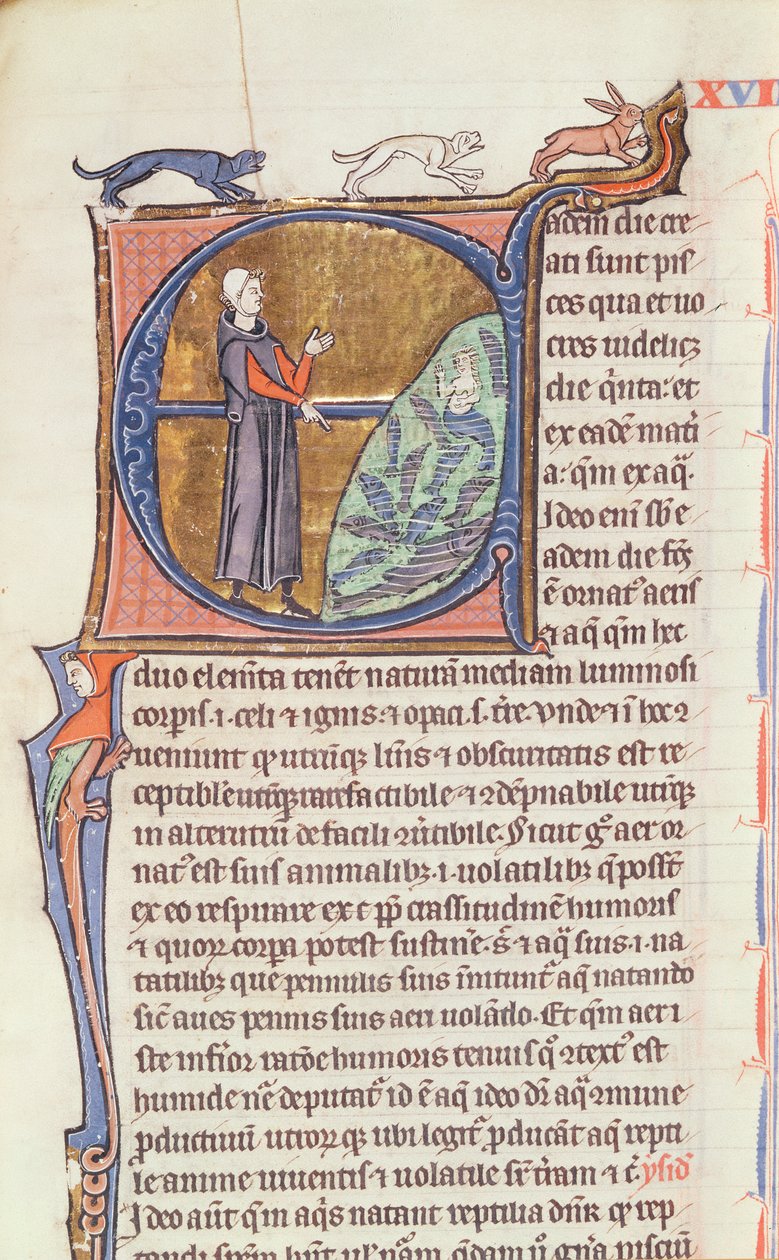 Ms 426 fol.213 Lääkäri kalalammen rannalla, Vincent de Beauvaisin "Le Miroir de la Nature" tekijältä French School