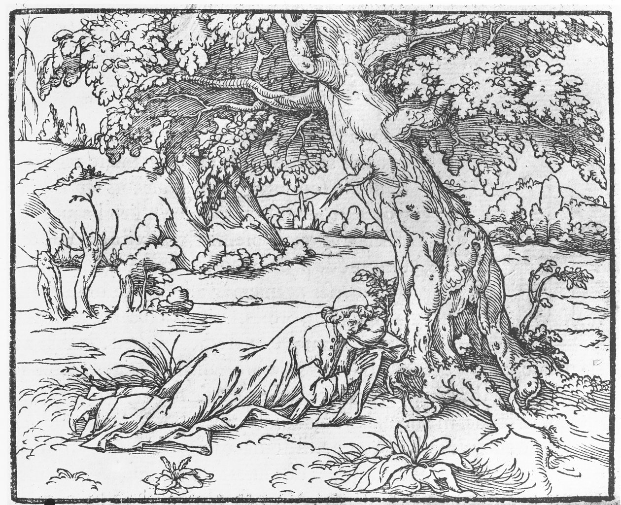 Sivu 1546:n Francesco Colonnan kirjasta Speech of the Dream of Poliphile tekijältä French School