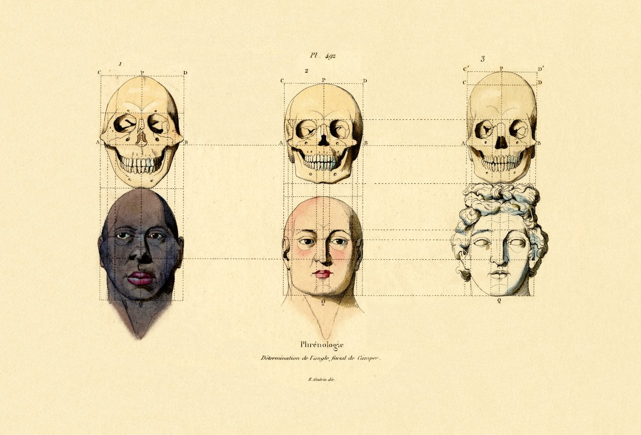 Frenologia, 1833-39 tekijältä French School