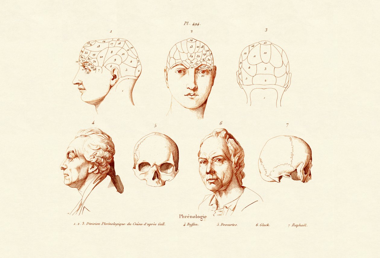 Frenologia, 1833-39 tekijältä French School
