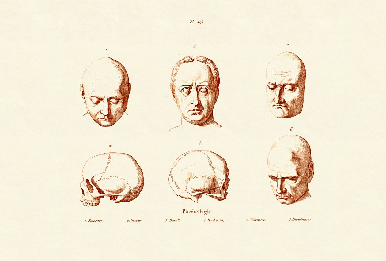 Frenologia, 1833-39 tekijältä French School