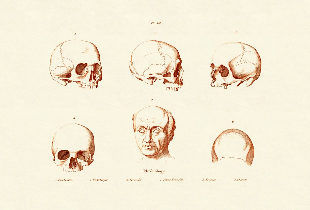 Frenologia, 1833-39 tekijältä French School