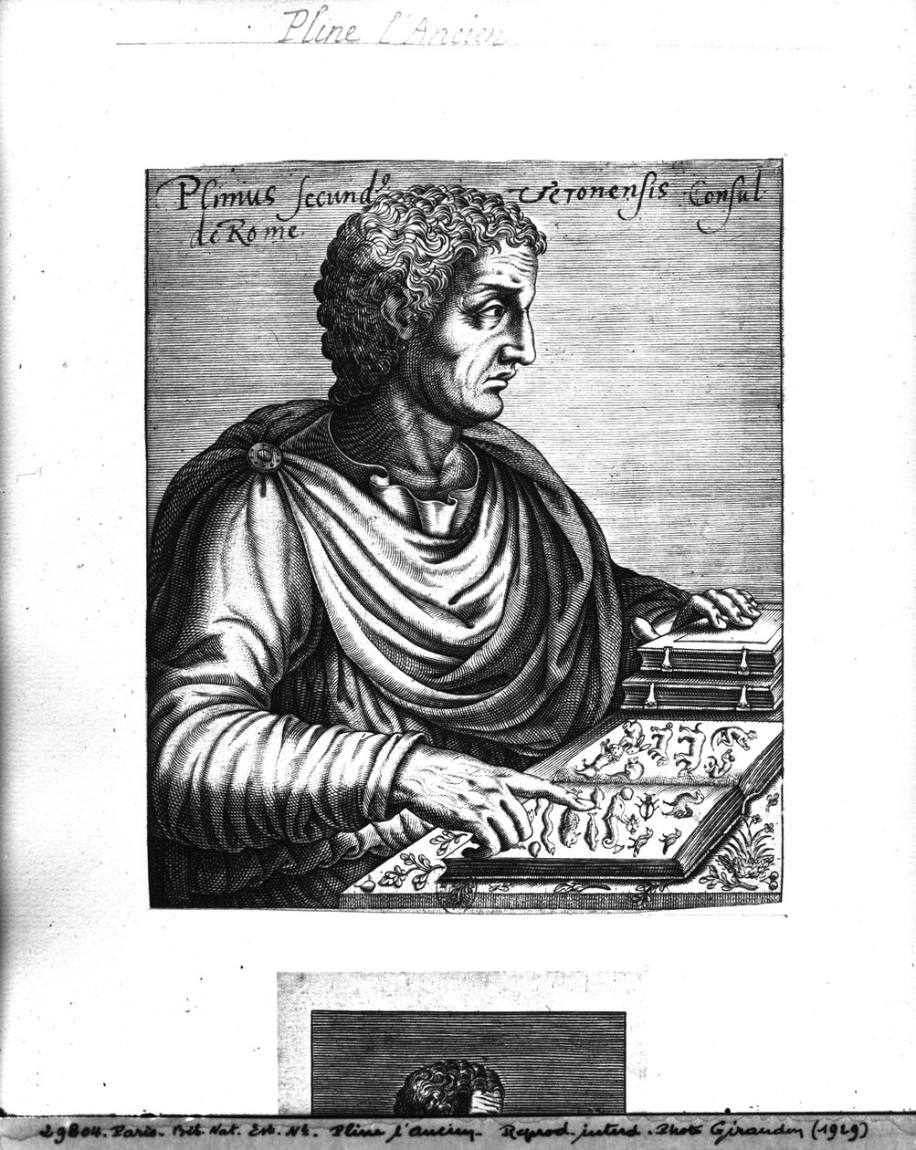 Pliny the Elder (23-79 AD) finn tekijältä French School