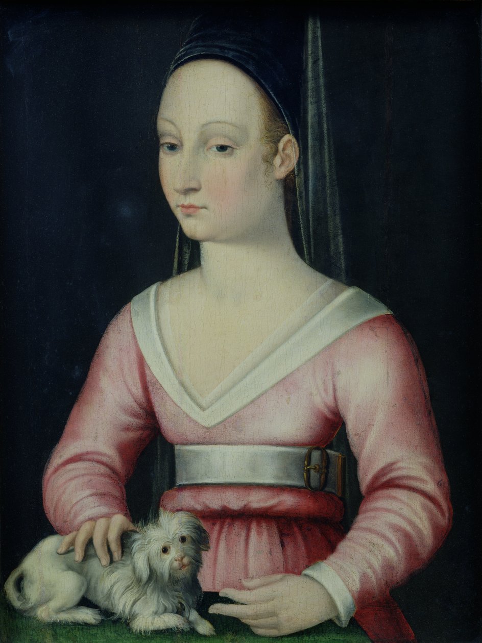 Agnes Sorelin muotokuva tekijältä French School