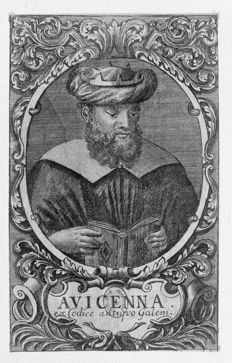 Avicennan muotokuva (Ibn Sina) (980-1037) Lukeminen tekijältä French School