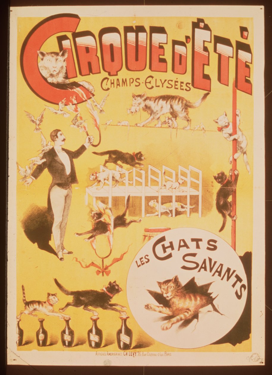 Juliste, joka mainostaa Cirque d
