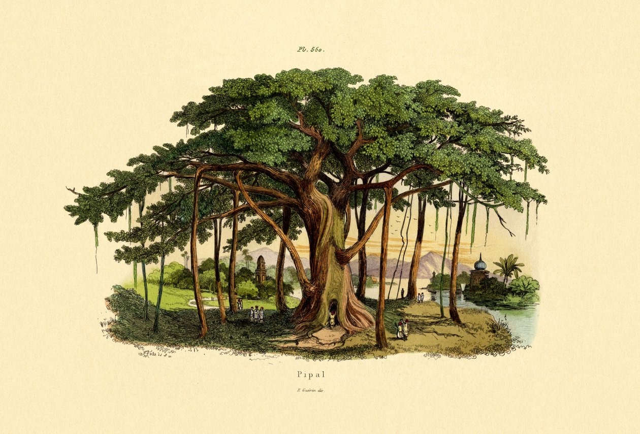 Pyhä kuva, 1833-39 tekijältä French School