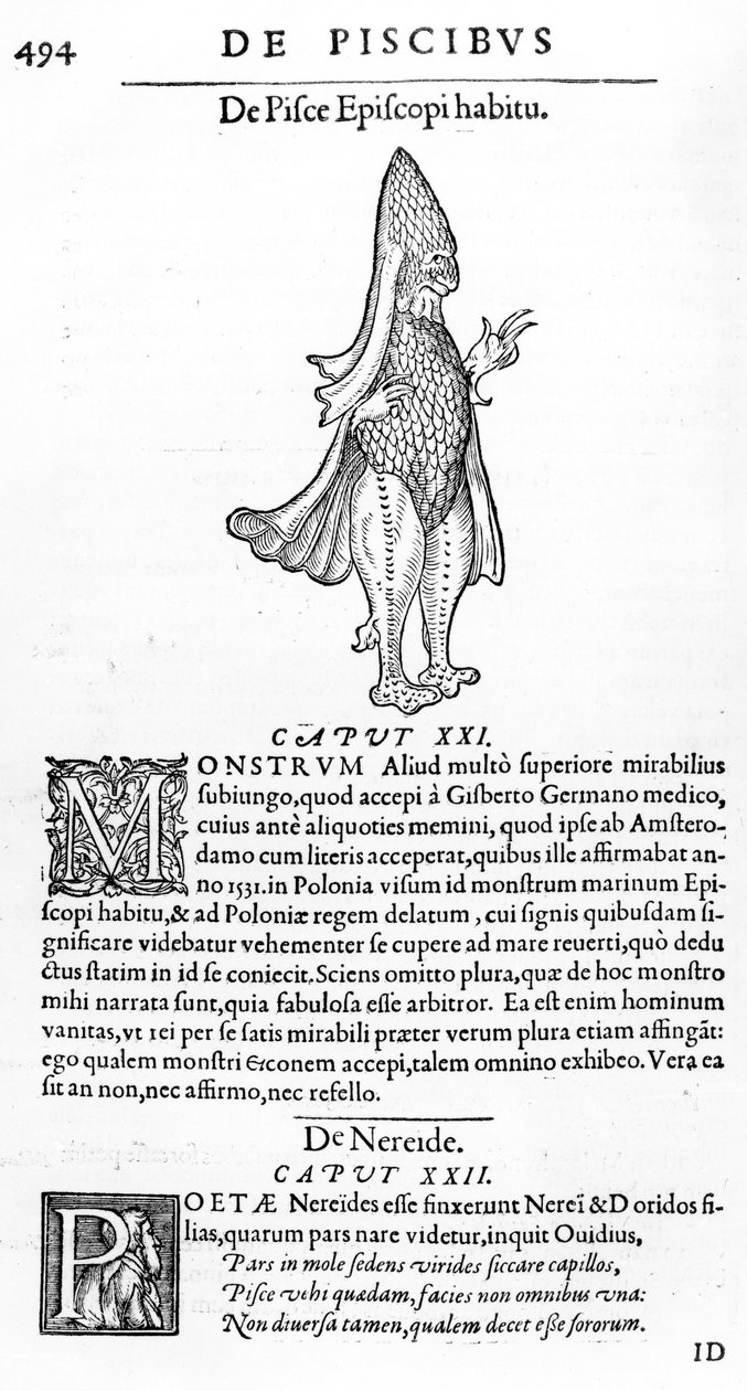 Merihirviö, kuvitus Guillaume Rondeletin kirjasta 