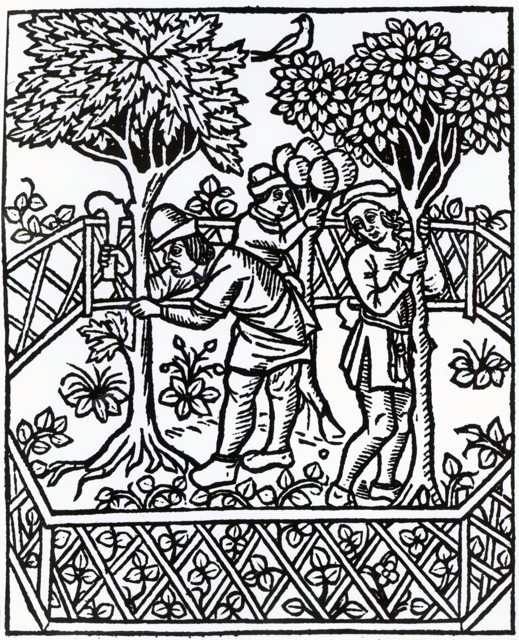 Tending Vines Petrus de Crescentiisin Livre des prouffits champetres -julkaisusta, painos, julkaistu vuonna 1529 tekijältä French School