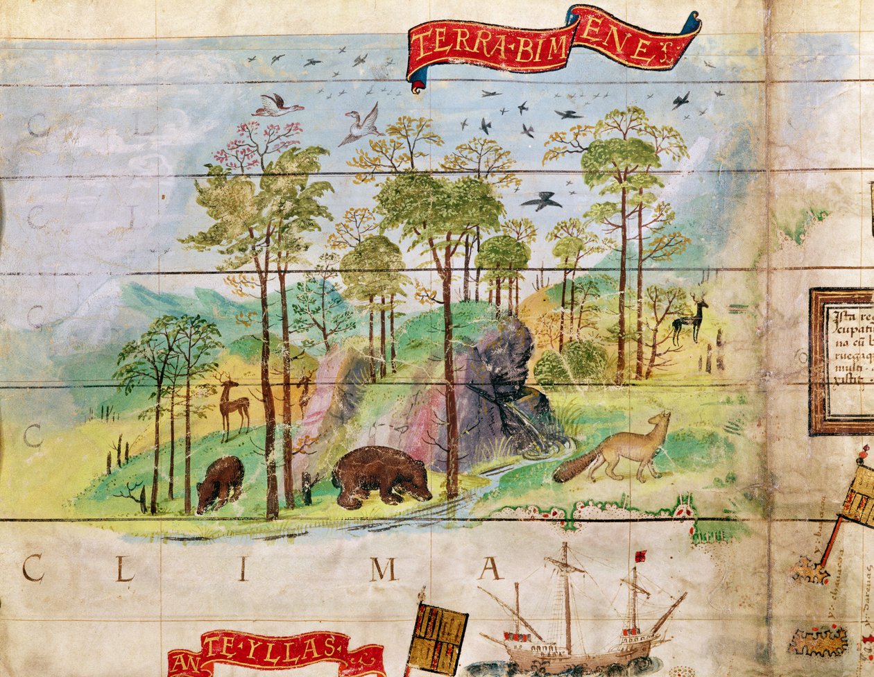 Kanadan metsä, yksityiskohta Atlantin kartalta, 1519 tekijältä French School