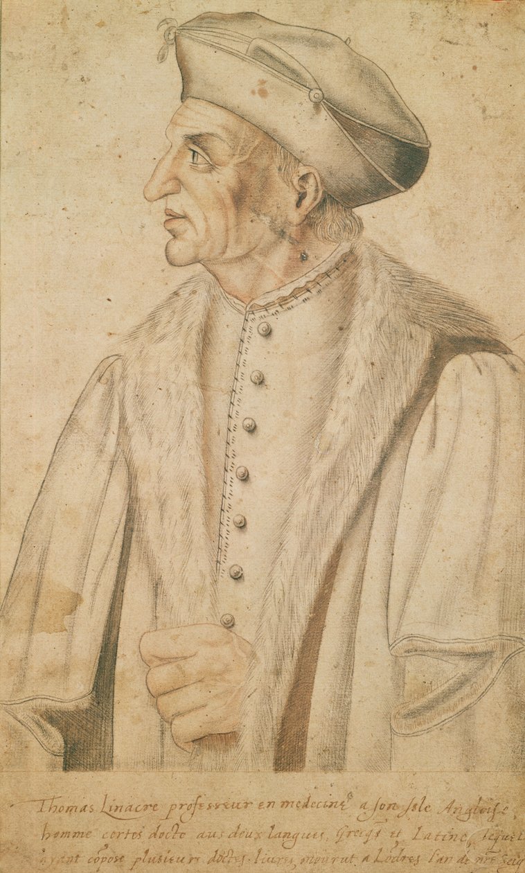 Thomas Linacre (sangviini paperilla) tekijältä French School