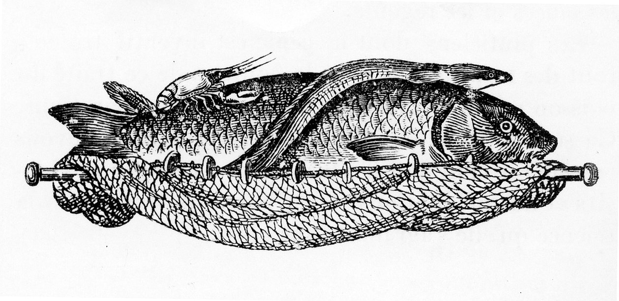Vinjetti luvulle XIX, s. 262 julkaisusta "L