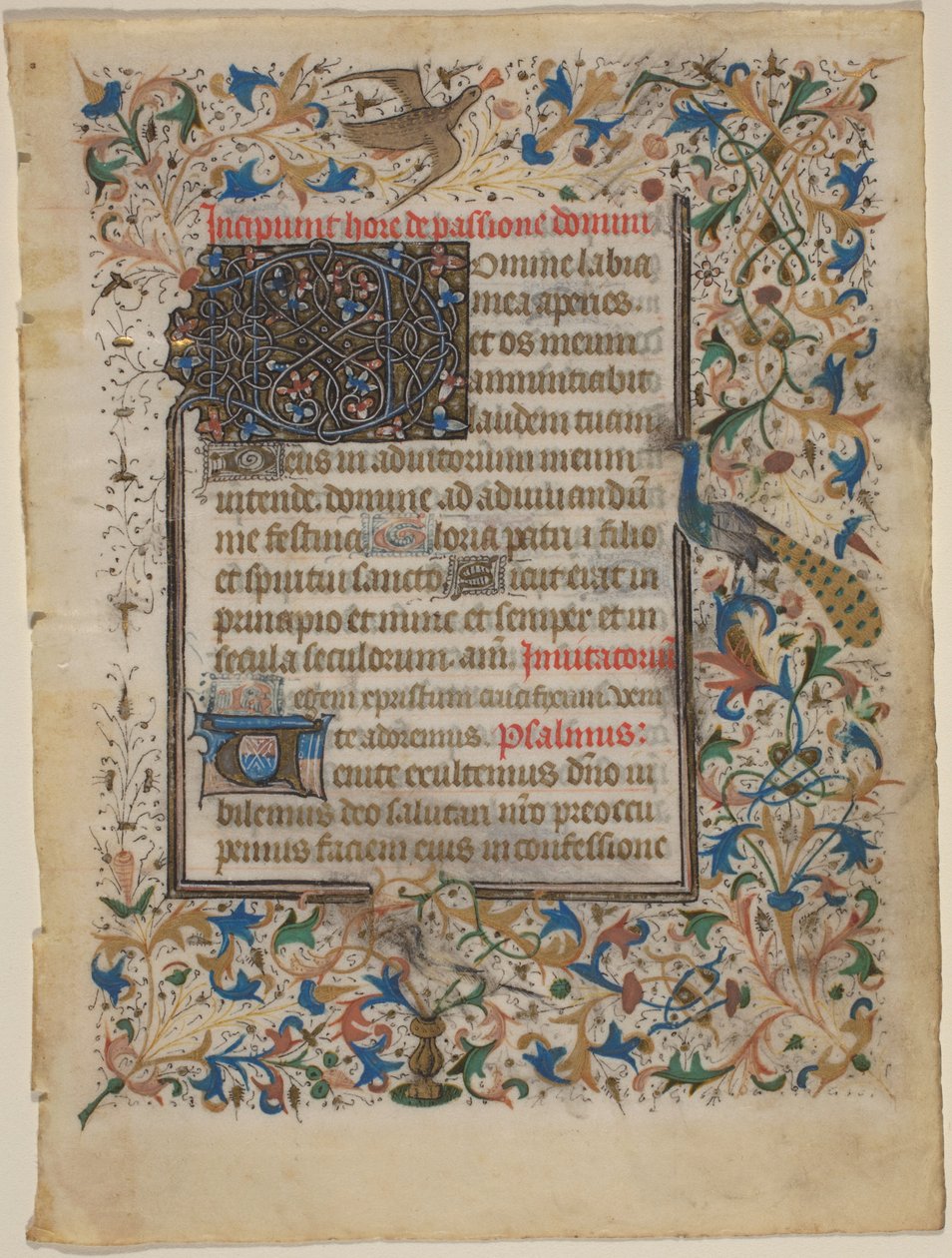 Käsikirjoitus lehti tuntikirjasta (incip. Passionis) tekijältä French 14th Century