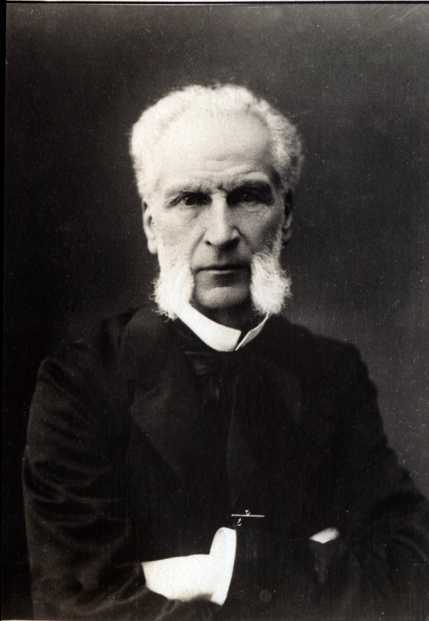Ranskalaisen lakimiehen Aime Joseph Edmond Roussen (1817-1906) muotokuva. tekijältä French Photographer