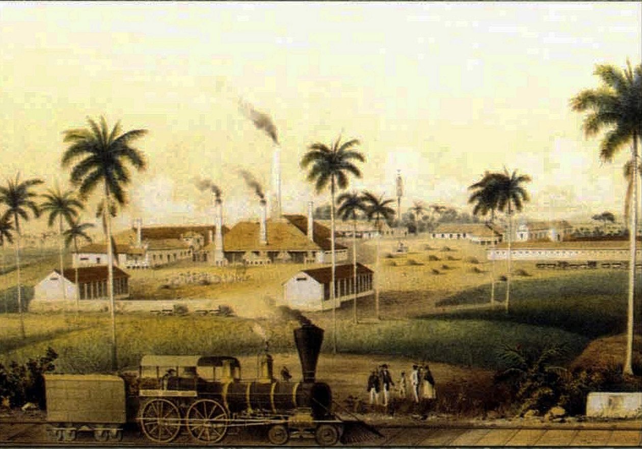 14784N Rommin valmistus Caribbean Collectionissa tekijältä French School