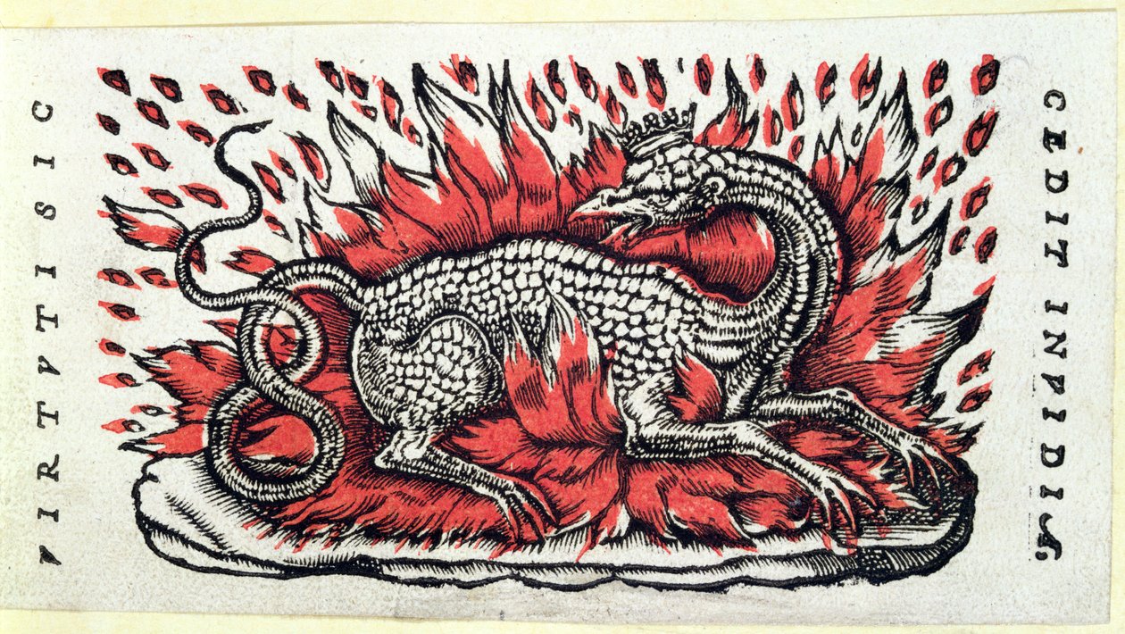 Salamander, 1500-luvun ensimmäinen puolisko tekijältä French School