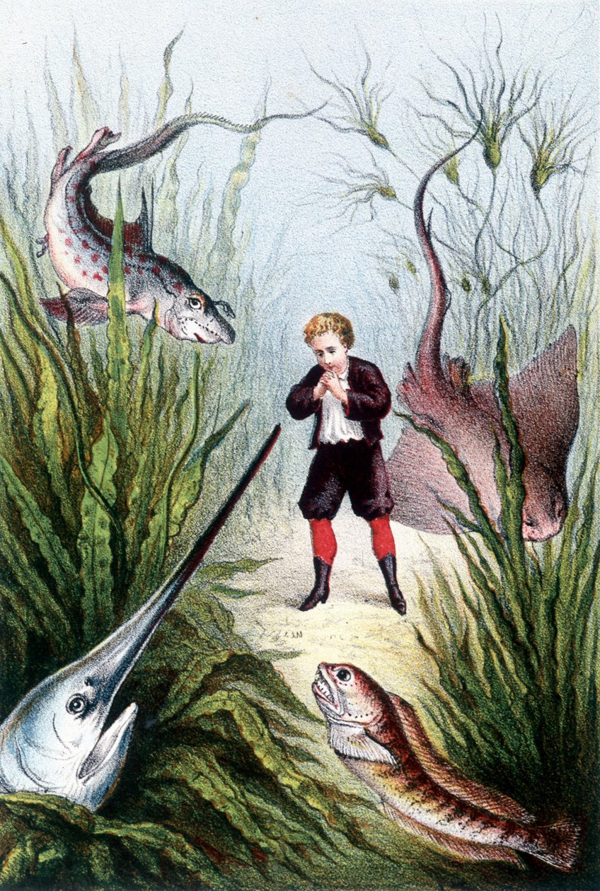 Poika jättiläiskalojen ympäröimänä - H. de la Blanchèren teoksessa "Matka merenpohjaan". Pariisi, toim. Jouvet et Cie, sd. 1880. (Double 02941) tekijältä French School