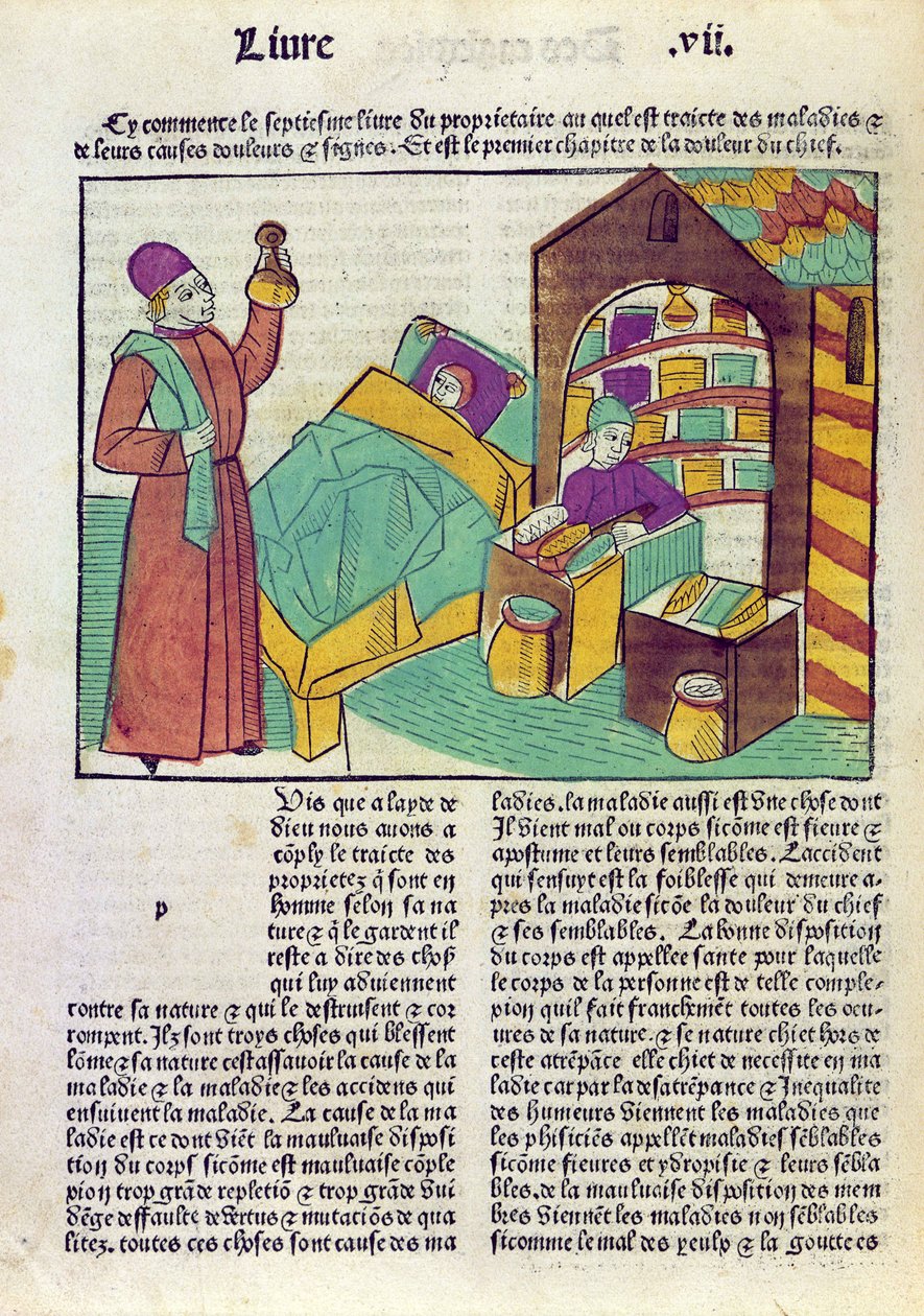 Potilas lääkärin ja apteekkihenkilökunnan kanssa, Barthelemy lAnglaisin Le Livre des Proprietes des Choses -teoksesta, 1485 (värillinen puupiirros) tekijältä French School