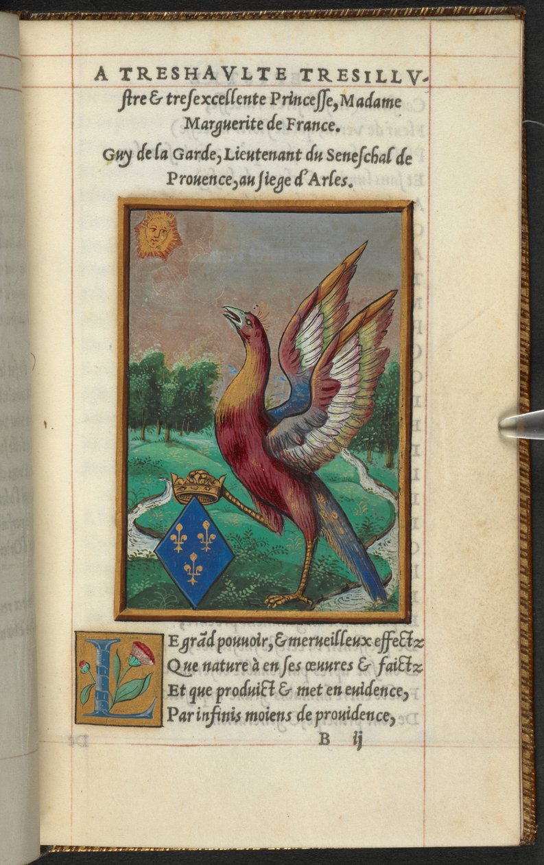 Feeniksi, julkaisusta The History and Description of the Phoenix jne. Vartijan kaveri tekijältä French School