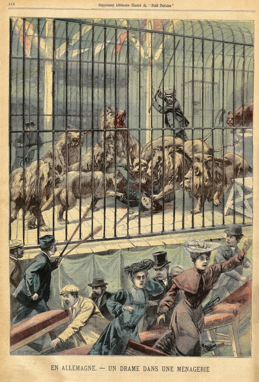 Un domador és devorat pels seus lleons en un zoològic de Dessau, Alemanya. Gravat a “” Le Petite Parisien””, el 27/12/1903.finlandès tekijältä French School