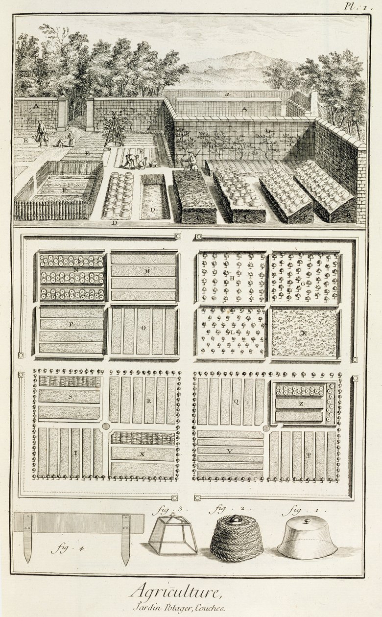 Vihannespuutarha, Denis Diderot