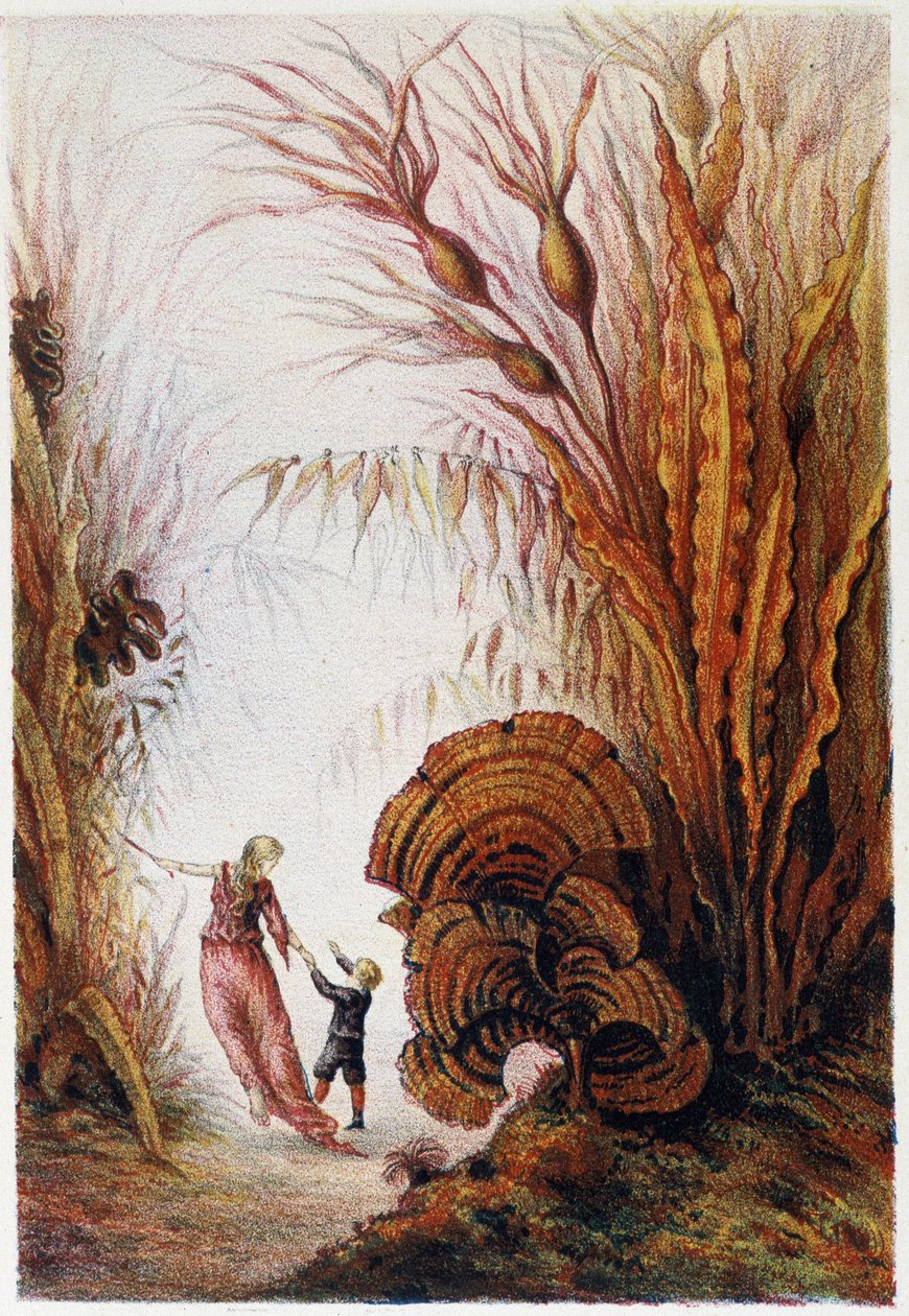 Nainen ja poika kävelevät vedenalaisessa maailmassa - H. de la Blanchèren teoksessa "Matka merenpohjaan". Pariisi, toim. Jouvet et Cie, sd. 1880. tekijältä French School