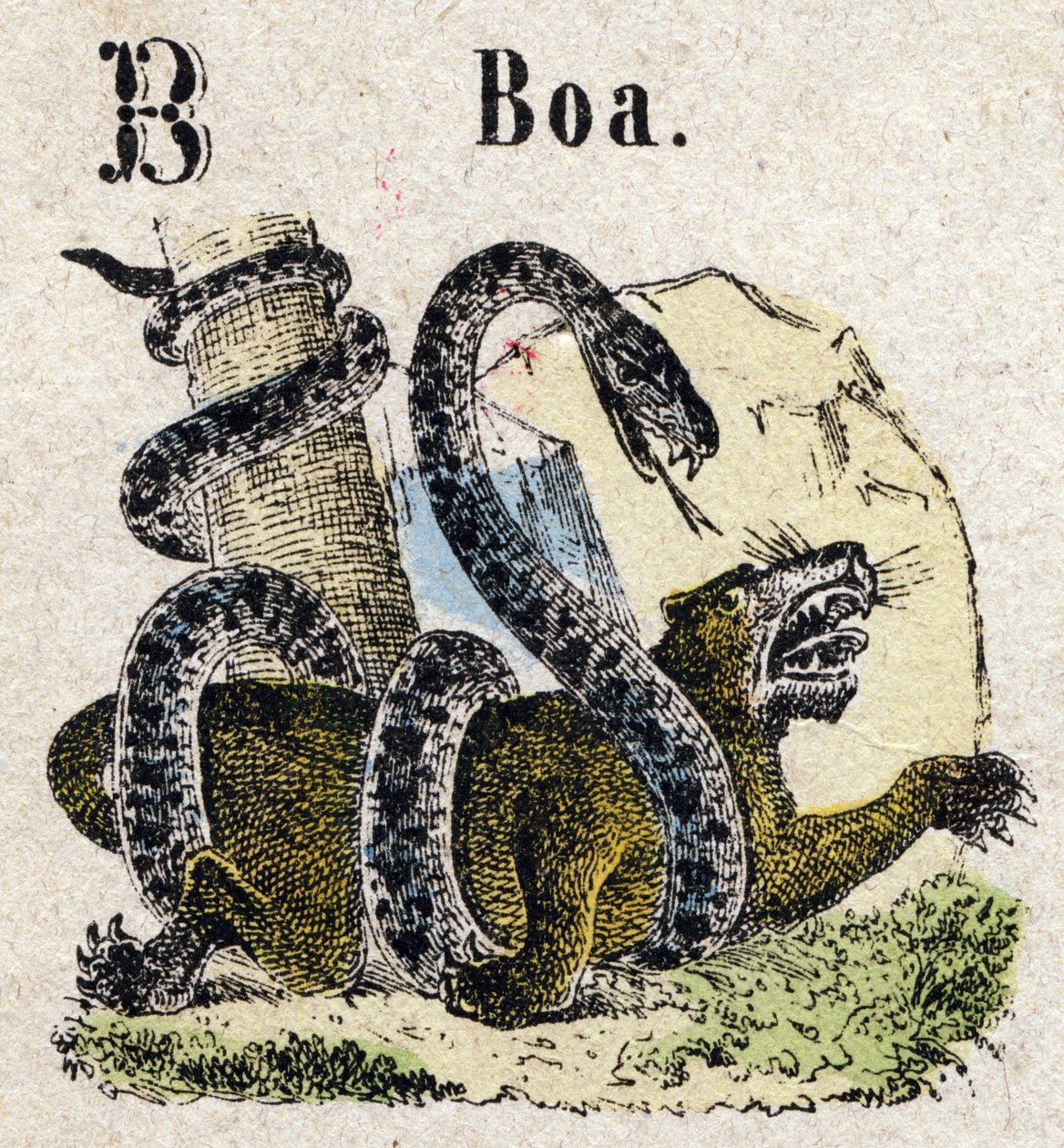 Abecedary. B-kirjain kuin Boa. Pieni tietosanakirja aakkoset, suosittu sarja. Epinaalinen kuvantaminen, 1800-luvun loppu tekijältä French School