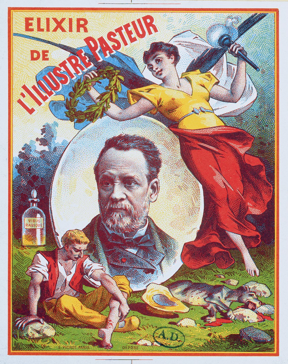 Mainos Elixir of the Illustrious Pastor, 1900 tekijältä French School