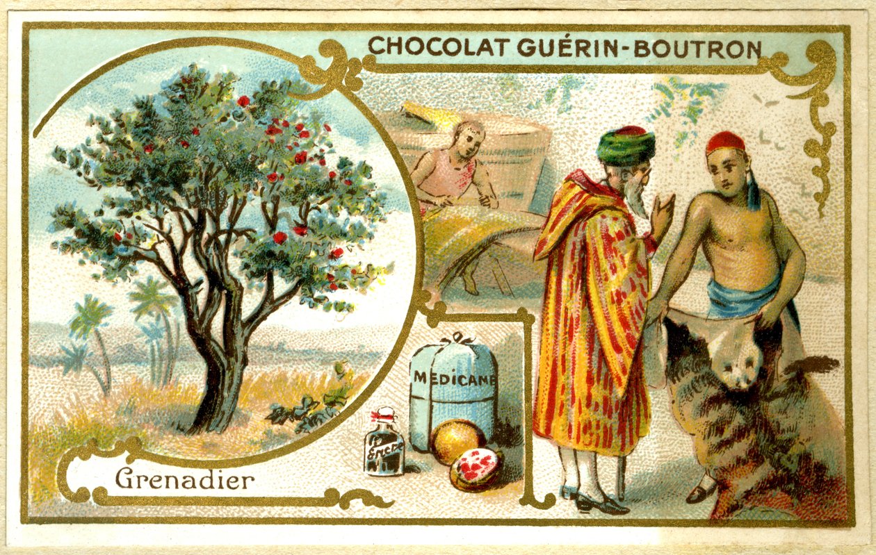 Guérin Boutron -suklaiden mainoskrolitografia (kromolitografia) tekijältä French School