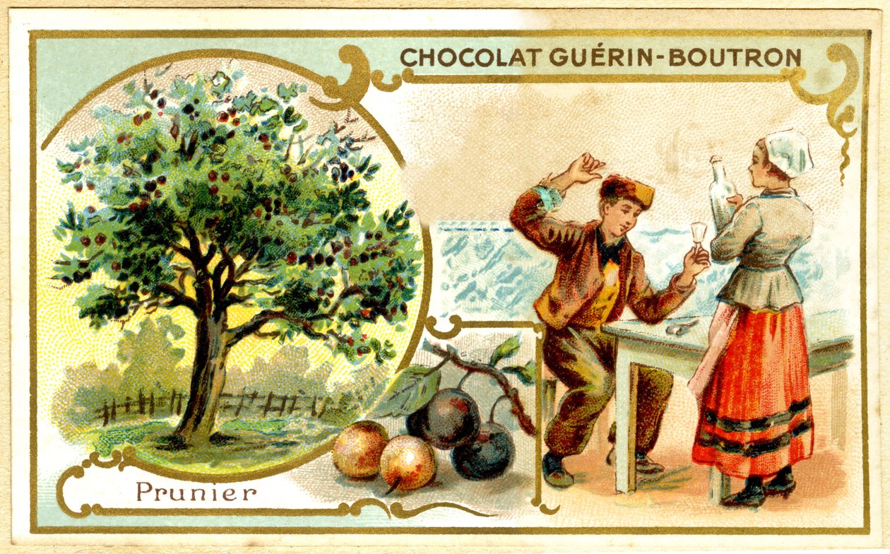 Guérin Boutron -suklaiden mainoskrolitografia (kromolitografia) tekijältä French School