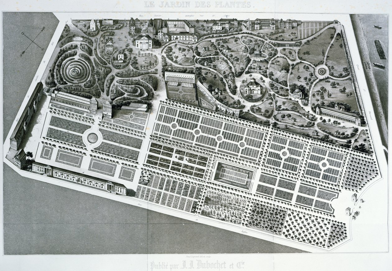 Ilmakuva Jardin des Plantesin suunnitelmasta Pariisissa, 1842 tekijältä French School