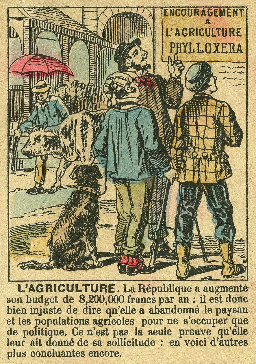 Maatalous havainnollistaa kolmannen tasavallan hyötyjä maatalousinvestoinneille ja sen huolenpitoa talonpoikaisväestöstä. Kaiverrus, "" Le Figaro, liite"", 30/03/1889, Pariisi. Coll. Selva. tekijältä French School