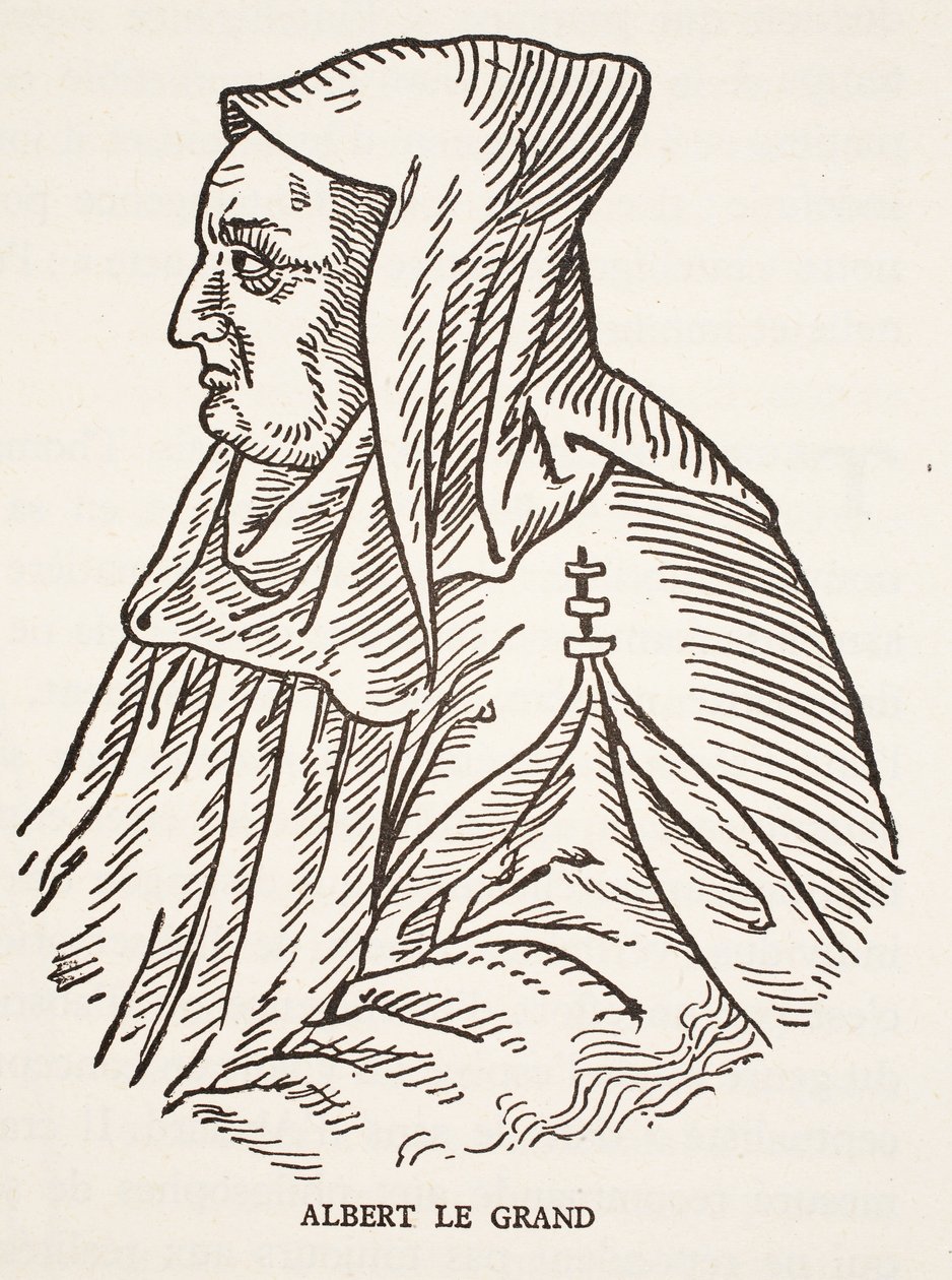 Albert Suuri tekijältä French School